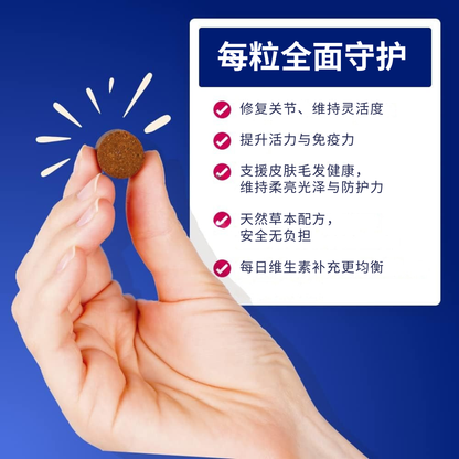 Vital360™狗狗全效关节活力软粒