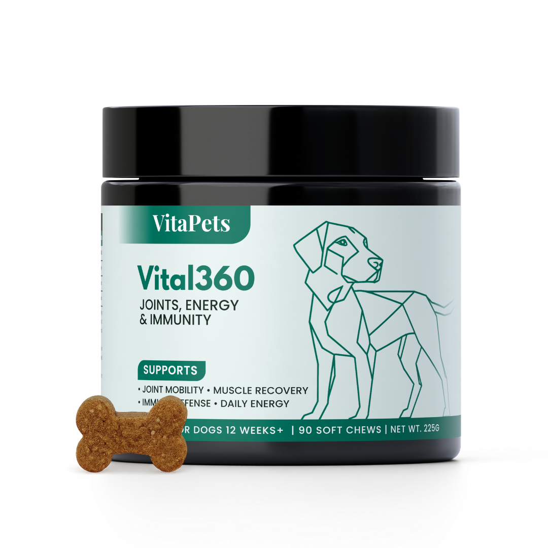 Vital360™狗狗全效关节活力软粒