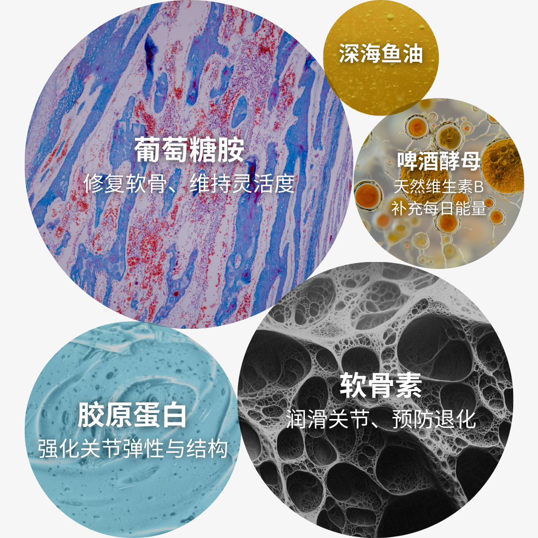 Vital360™狗狗全效关节活力软粒